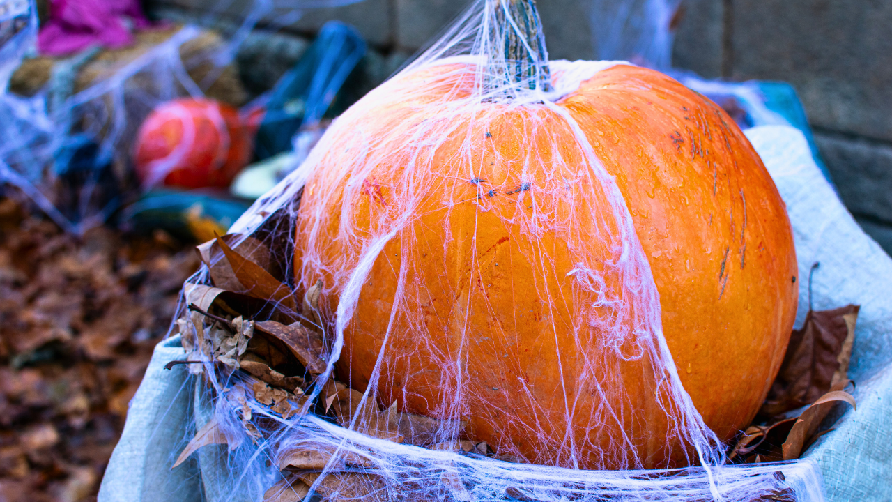 🎃 La historia del Samaín: la fiesta mágica que dio origen a Halloween